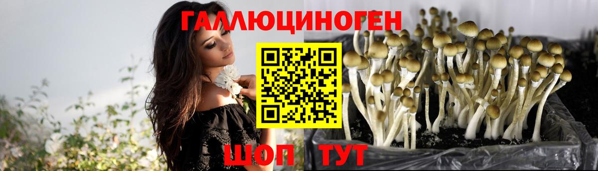 Галлюциногенные грибы Psilocybe  Псилоцибиновые грибы Magic Shrooms  Вход с VPN  Кандалакша 