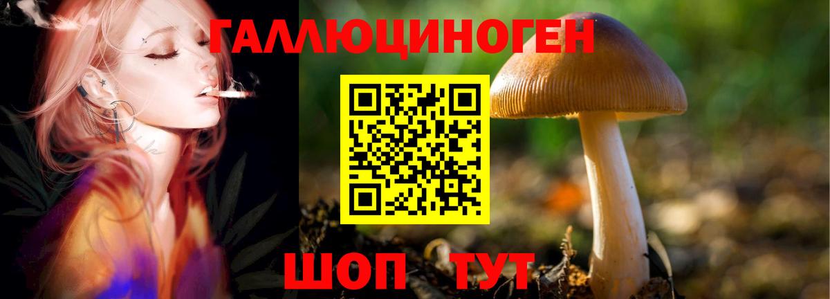 Галлюциногенные грибы мухоморы Кандалакша